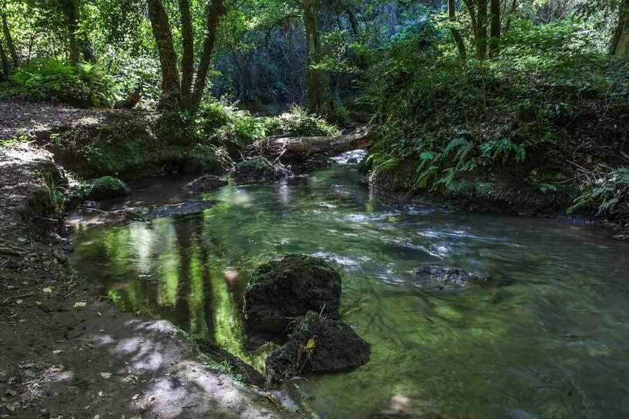 Agriturismo Villa Amerina Corchiano ภายนอก รูปภาพ