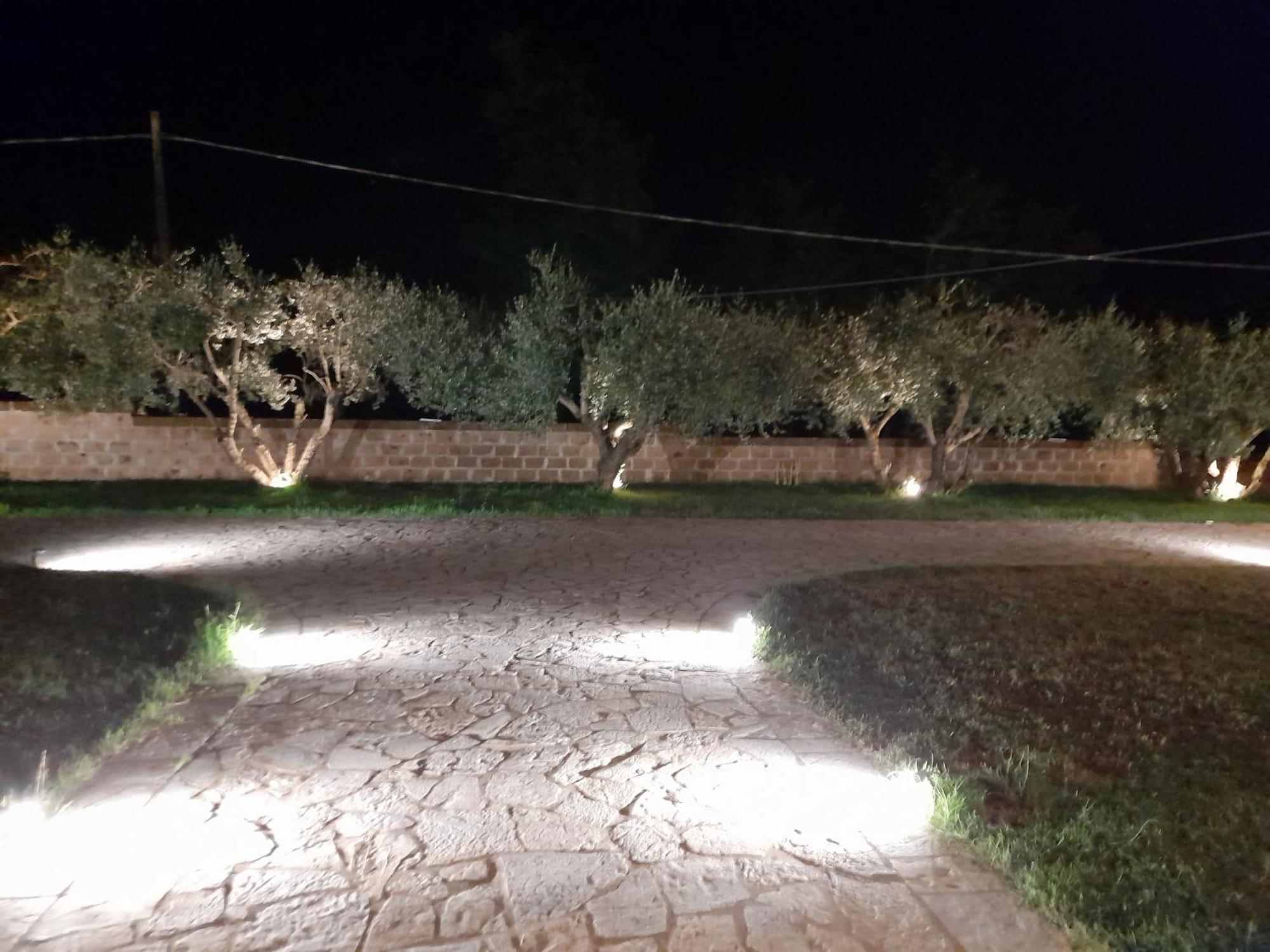Agriturismo Villa Amerina Corchiano ภายนอก รูปภาพ